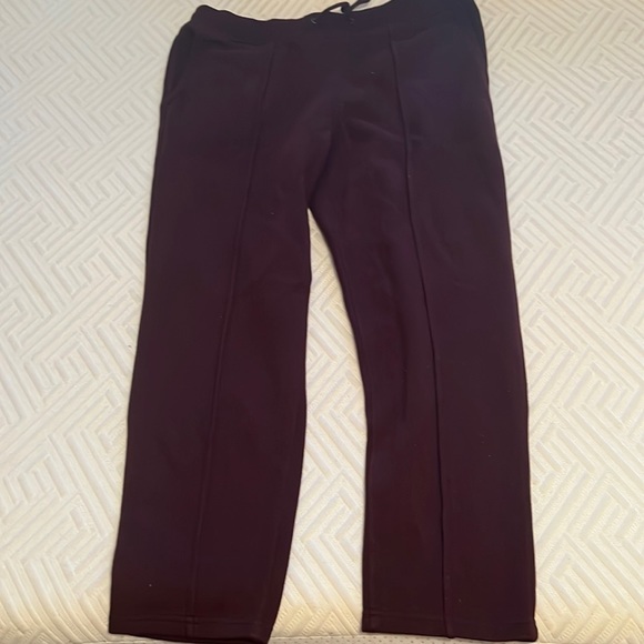 Express Other - NWT burgundy Express sweatpants
